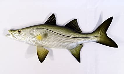 Replica Snook Ocean Coastal Fly Fishing Wall Decor | Amazon (US)