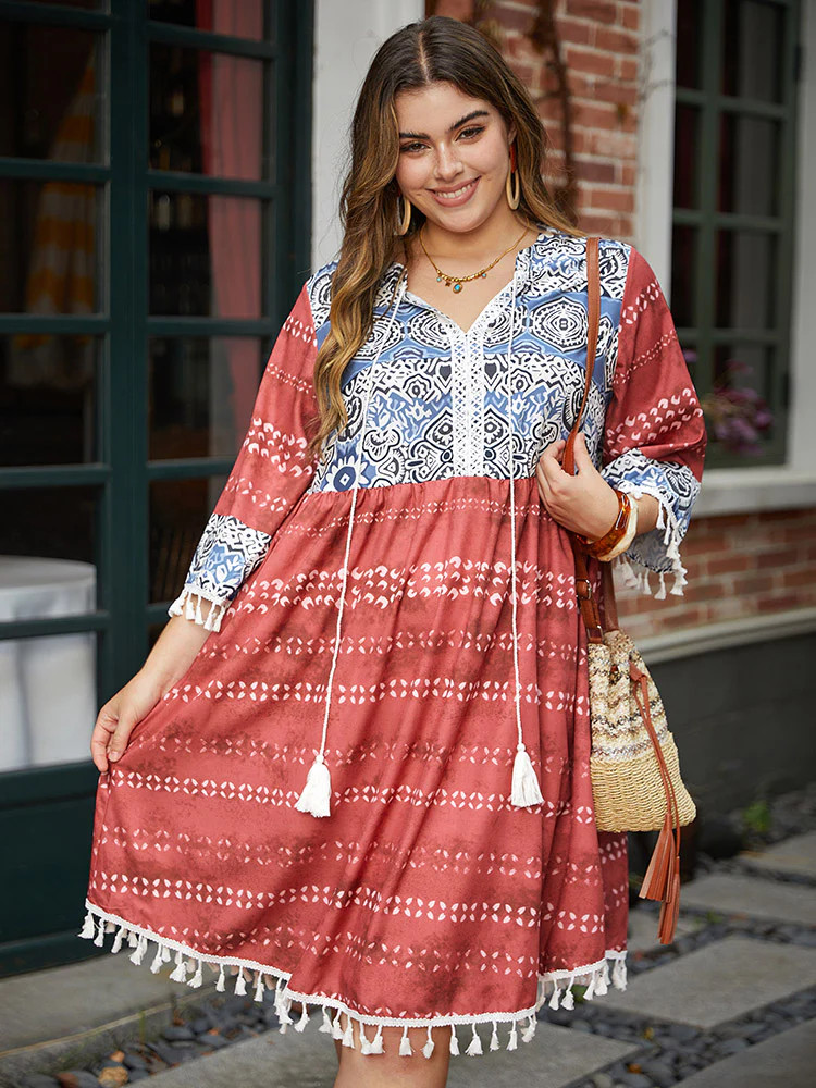 Bandana Print Contrast Tassels Trim Ties Notched Dress | Bloomchic