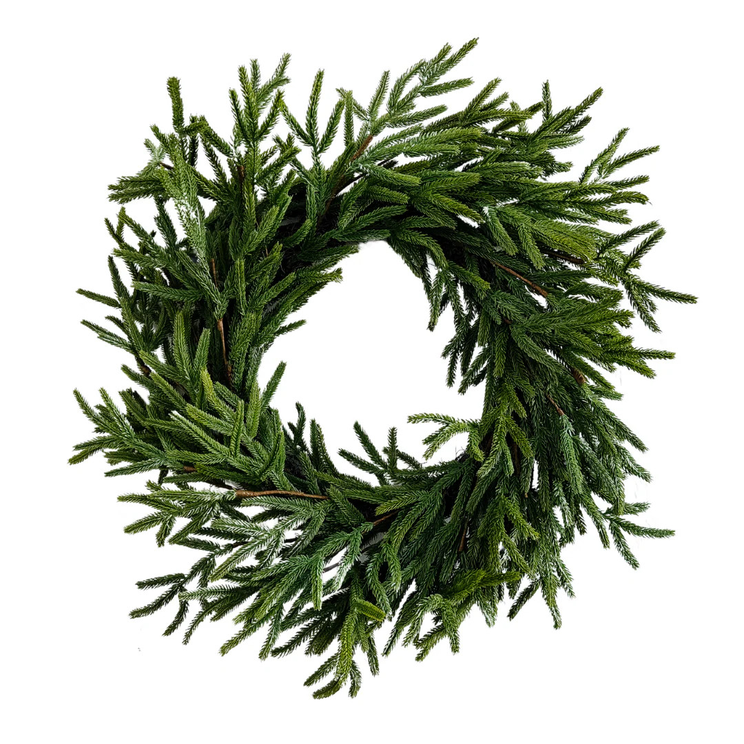 Real Touch Norfolk Pine Wreath - 25" | Heritage House