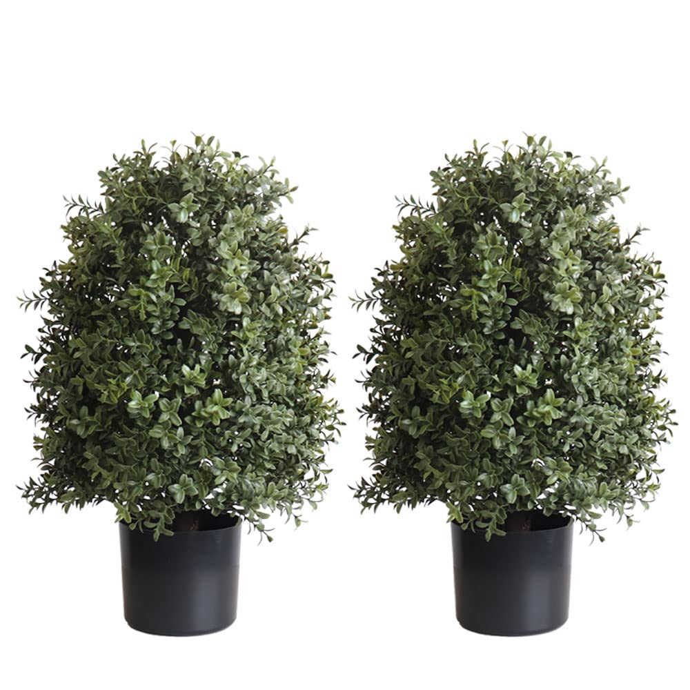 Amazon.com - ALL SEASON GREEN 22" Artificial Boxwood Topiary Trees for Home and Office Decor Mini Bushes | Amazon (US)