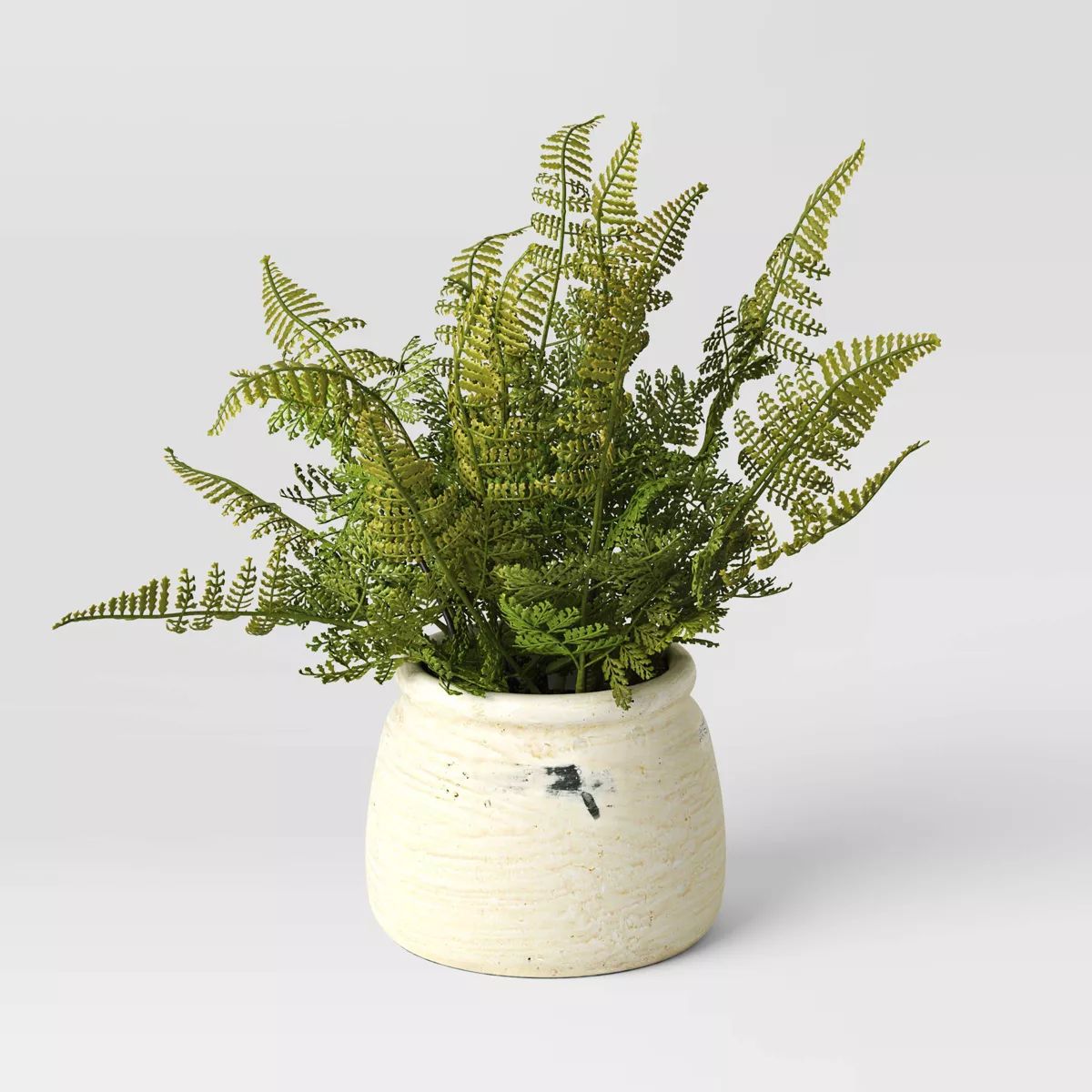 Artificial Small Fern in Cement Pot Green - Threshold™ designed with Studio McGee | Target