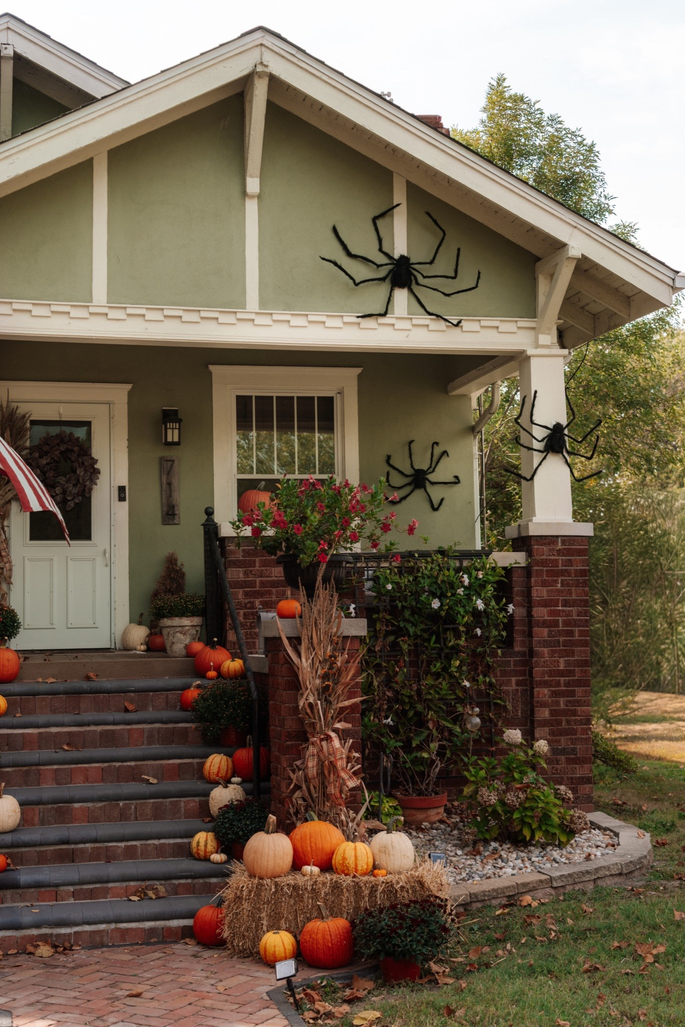 In love with these big spiders I got from Amazon!!! 

#LTKSeasonal #LTKFallSale #LTKHome