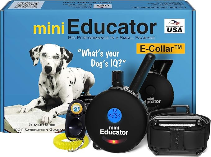 ET-300 Black Mini E Collar for Dog Training with Remote - 1/2 Mile Range, Waterproof, 100 Blunt S... | Amazon (US)