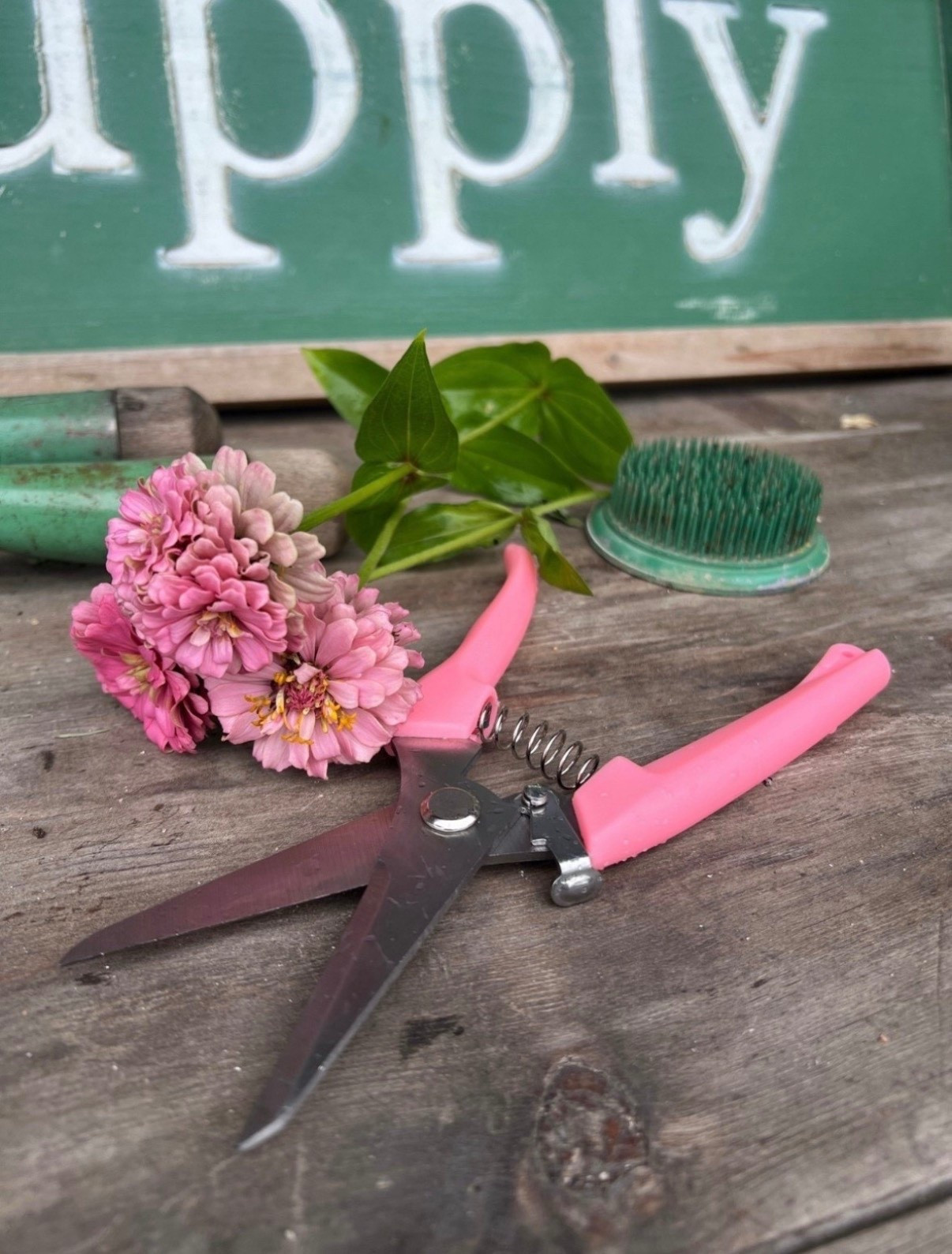 These pink garden shears were too cute not to share 🌸✂️ They come in a set of two and add the sweetest pop of color to garden days. Check out the many other colors they offer as well!!!

#LTKSeasonal #LTKSpringSale #LTKFindsUnder50