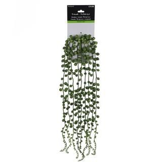 Hanging String of Pearls Plant in White Pot by Ashland® | Michaels Stores