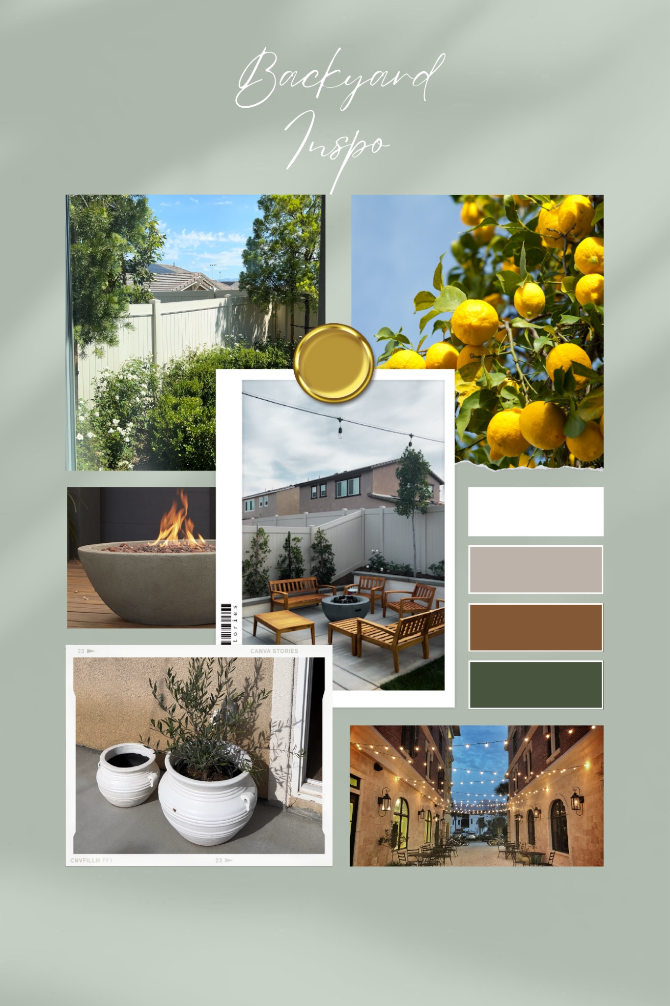 Backyard Inspo and links 🍋