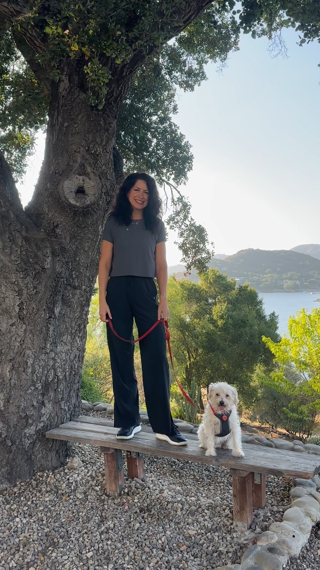 I have been looking for track pants for a long time.  Finally found THE pair!  These come in short, regular and tall lengths (I’m wearing tall) and they have a cute split at the side / bottom of the pants.  I’m thinking of going back for another color! 

#LTKActive #LTKTravel #LTKTall