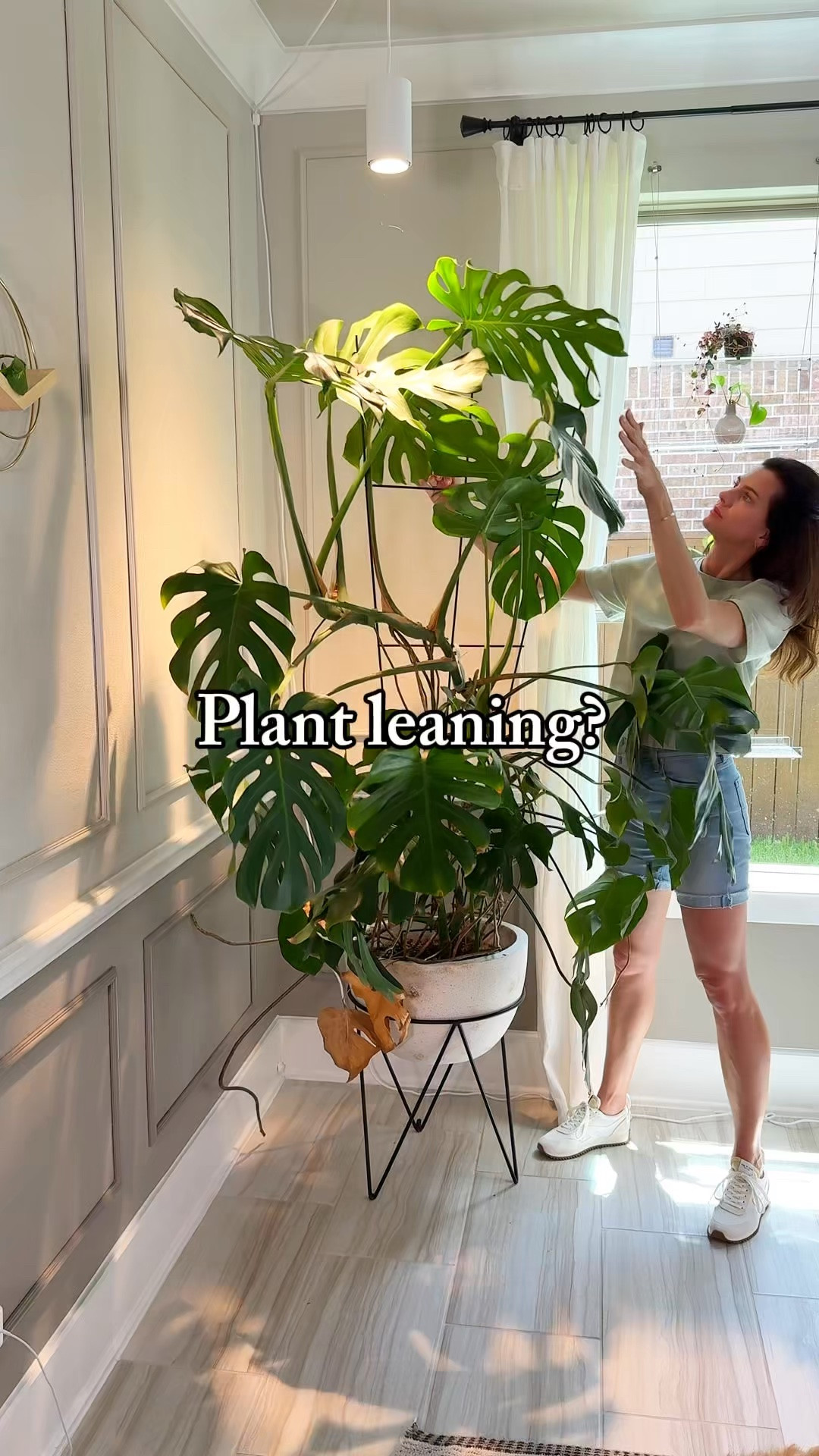 Sometimes plants get so heavy that even the plant support needs a little help keeping them upright. That’s where this simple hack comes in handy!

All you need is a wall hook and some string to give your plant that extra support and keep it standing tall.

Comment “HACK” and I’ll send you the links! 💚

leaning plant | plant support | plant hack | houseplant tips | indoor plant care | large houseplants

#LTKOver40 #LTKTall #LTKHome