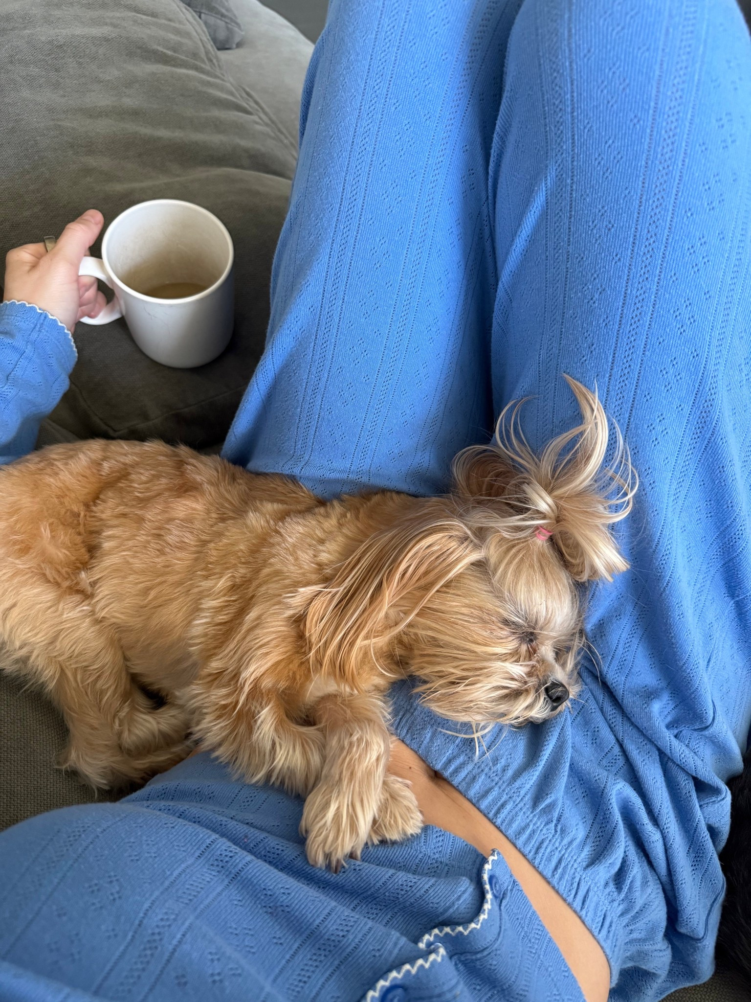 Favorite pajamas 💙

#LTKFindsUnder50 #LTKSaleAlert