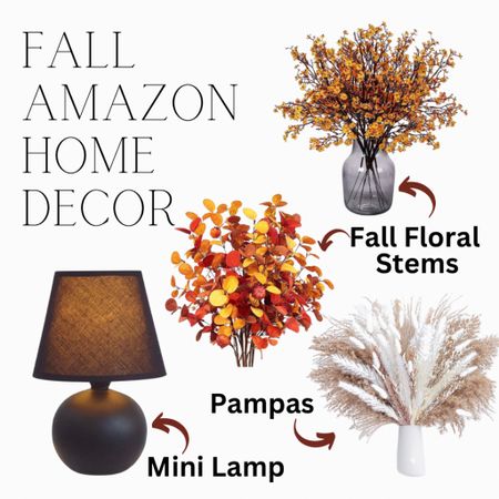 Some excellent fall accents for the home.. All from Amazon!

#LTKHalloween #LTKSeasonal #LTKHoliday