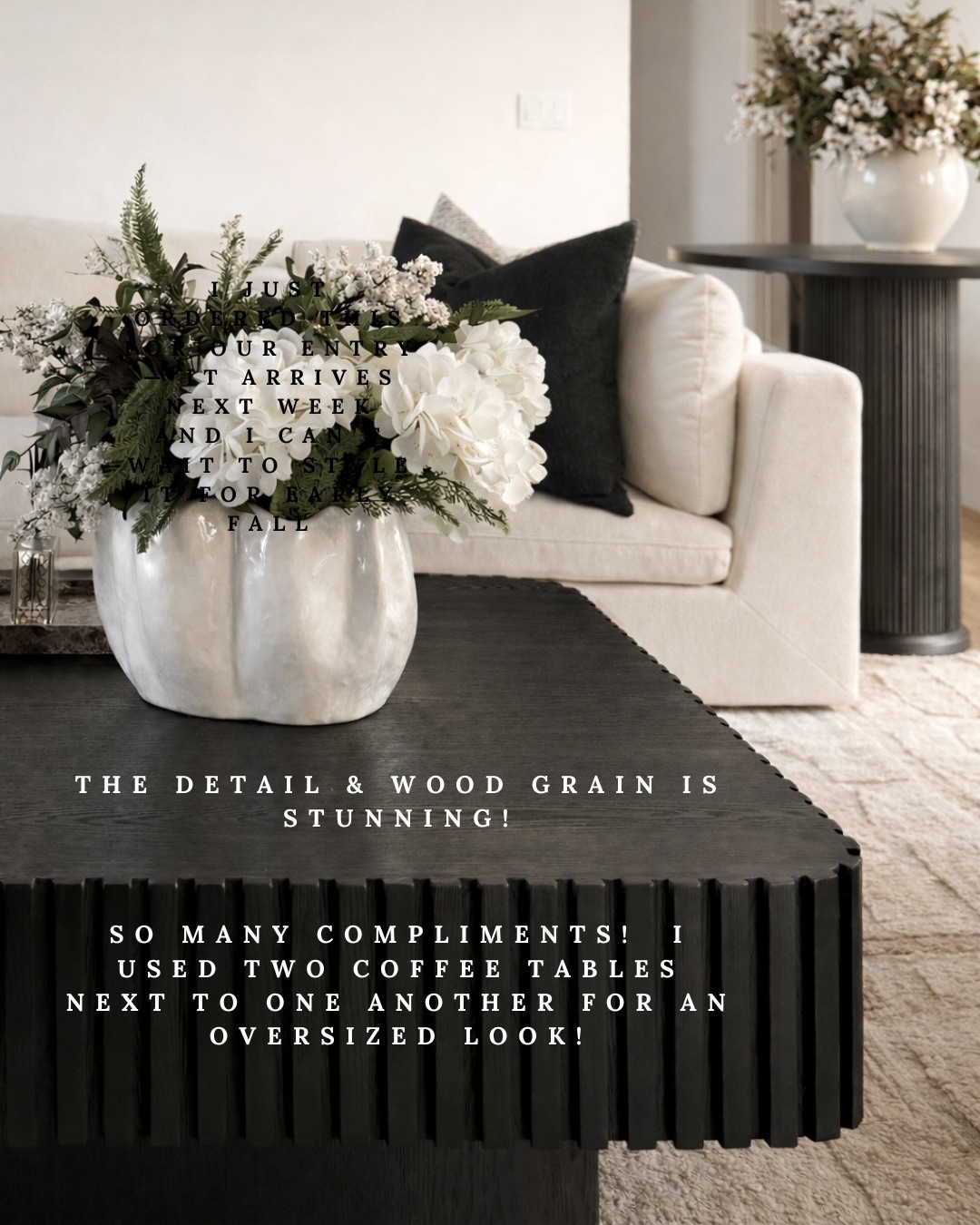 FLUTED BLACK COFFEE TABLE — BOLD & ELEVATED! The RICH WOOD GRAIN and FLUTED DETAIL make this piece look custom and high-end. I styled two together for an OVERSIZED statement and get compliments nonstop.

#Amazon #TheHillaryStyle #AmazonHome #CoffeeTable #FlutedFurniture #ModernLivingRoom #LuxuryForLess #DesignerLookForLess #NeutralHome #HomeStyling 

 #LTKU #LTKOver40 #LTKHome