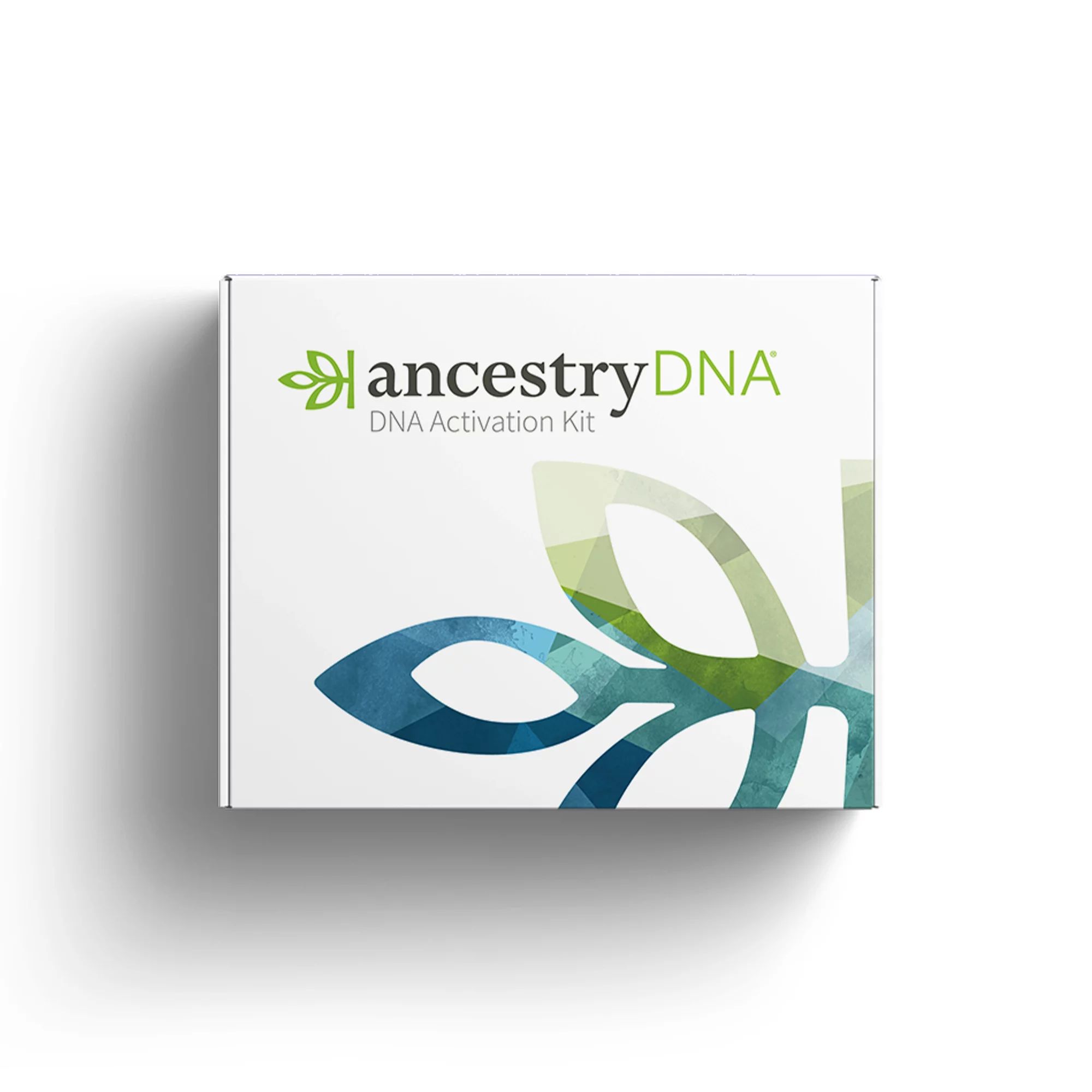 AncestryDNA: Genetic Ethnicity Test, Ethnicity Estimate, AncestryDNA Test Kit, Health and Persona... | Walmart (US)