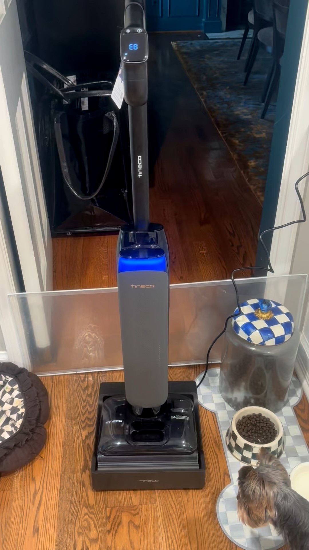 I’ve been DYING for this tineco vacuum mop for years
 Pulled the trigger on prime day and so excited 😆 

#LTKHome #LTKOver40 #LTKPets