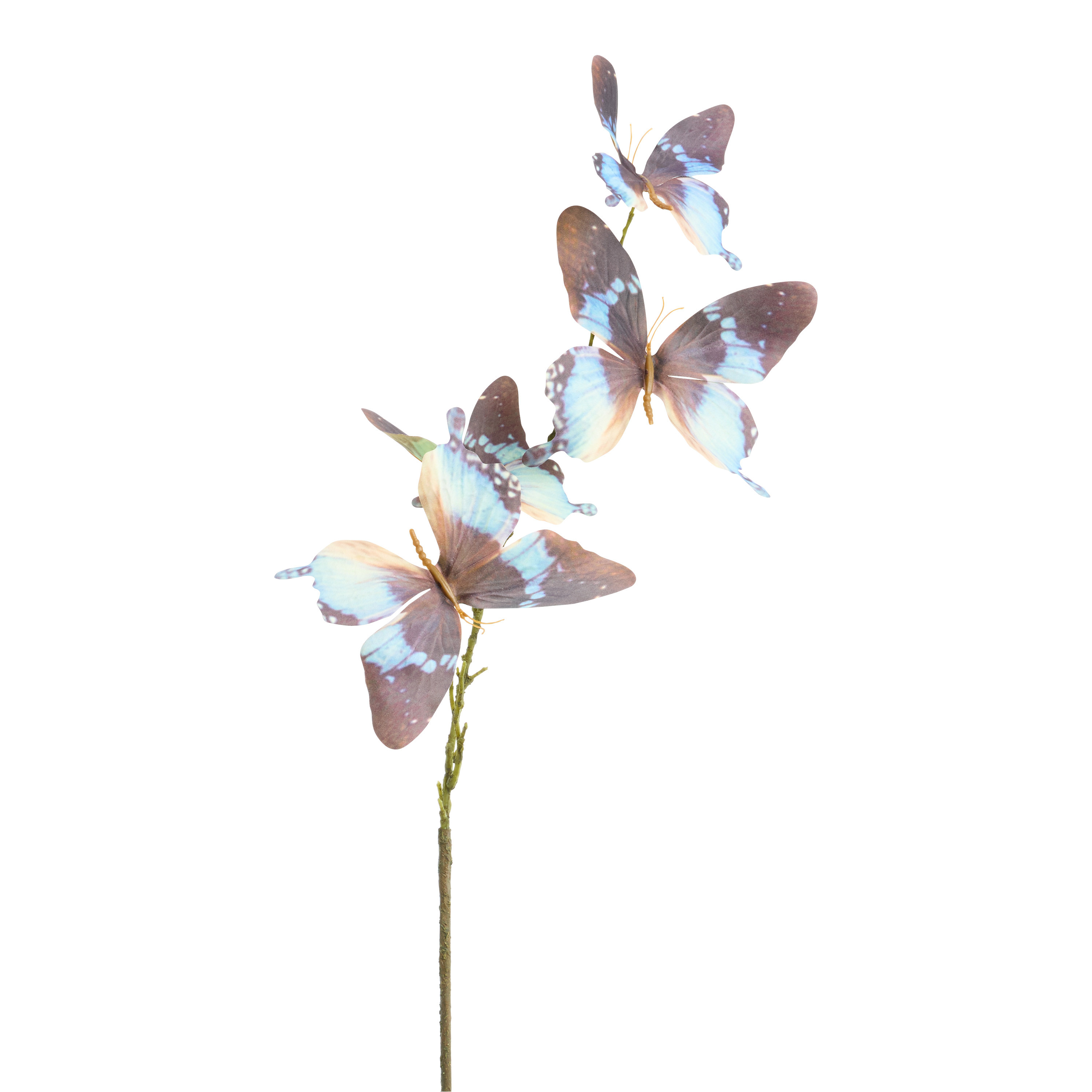 Speckled Butterfly Spray | World Market