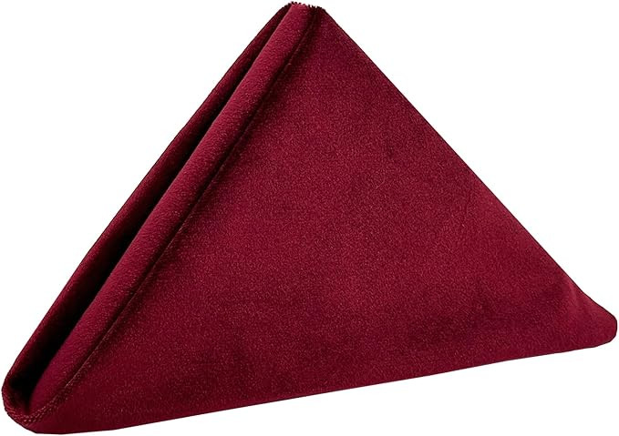 Your Chair Covers - (Pack of 10) 20 Inch Square Velvet Cloth Napkins, Oversized, Double Folded an... | Amazon (US)