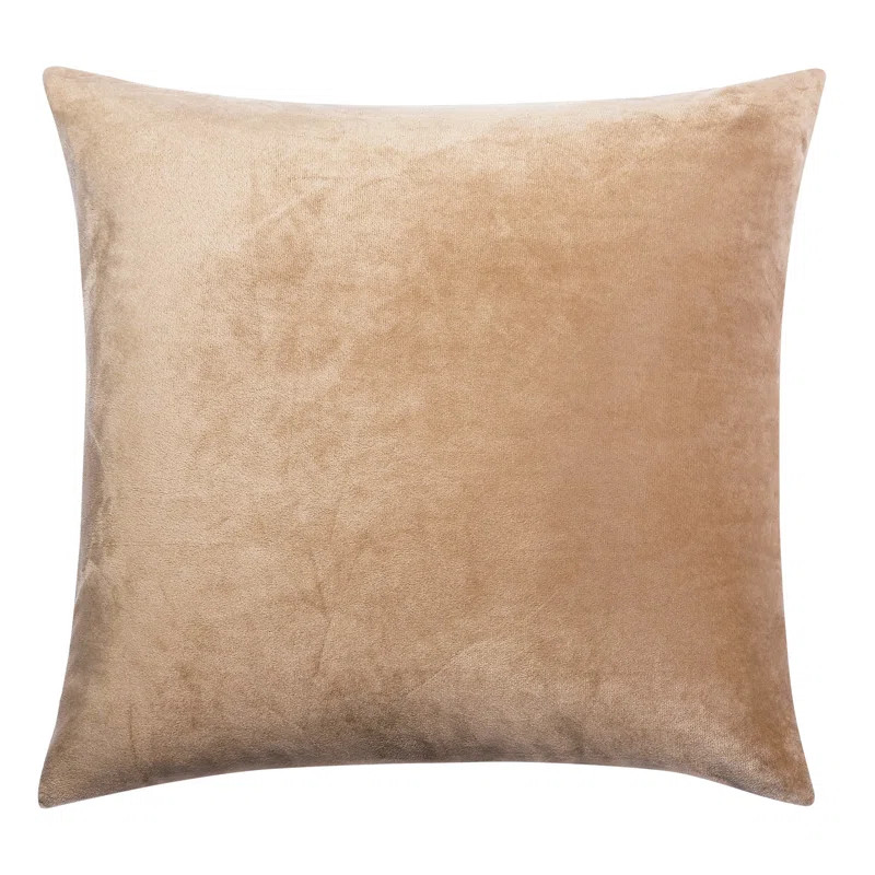 Kylee Velvet Pillow Cover | Wayfair North America