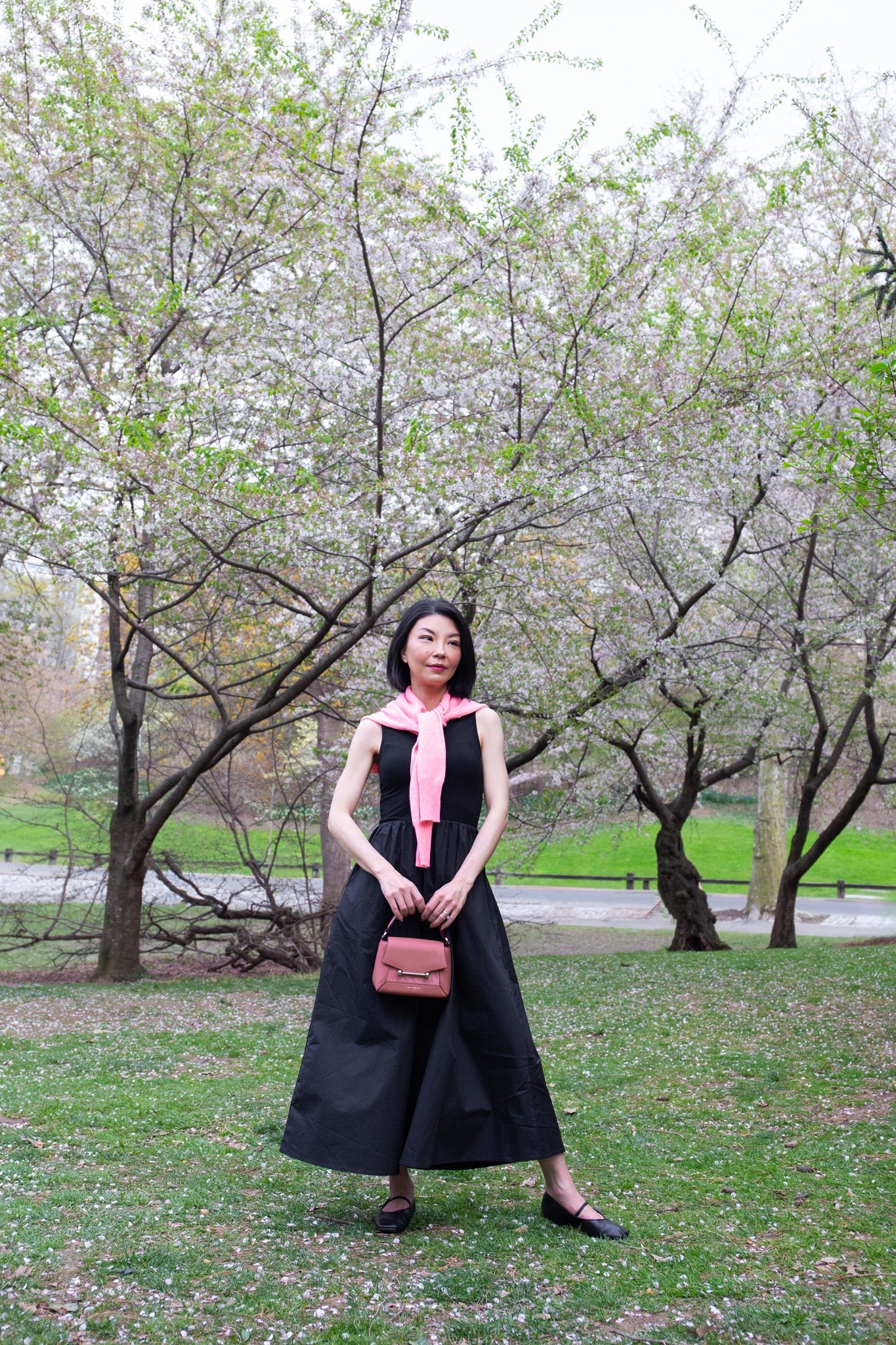 🌱🌸🖤
Dress: @commense.official 
Sweater: @jcrew
Flats: @everlane
Bag: @strathberry

#outfitinspiration #stylingtips #ltkstyletip #ltkover40 #cherryblossoms #centralpark #springfashion  #lbd #mystylediary 



#LTKFindsUnder100 #LTKOver40 #LTKPetite