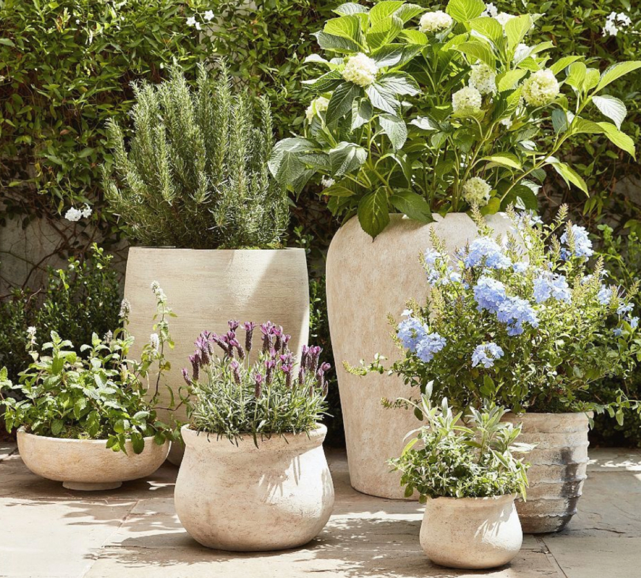 Artisan Hand-Painted Terracotta Outdoor Planters | Decorative Garden Pots for Patio & Porch Add character and charm to your patio, porch, or garden with these artisan hand-painted terracotta planters. Crafted from durable terracotta and finished with unique hand-painted details, they bring warmth, texture, and a collected feel to any outdoor space. Perfect for displaying flowers, herbs, or greenery, these decorative pots blend timeless craftsmanship with vibrant style for an elevated garden look.
✨ Hand-painted artisan design
✨ Durable terracotta construction
✨ Ideal for patios, porches, and garden spaces
✨ Beautiful for flowers, herbs, and plants
✨ Adds color, texture, and personality outdoors
#OutdoorDecor #GardenStyle #Planters #PatioDecor #TerracottaPots #GardenInspiration #LTKHome #OutdoorLiving