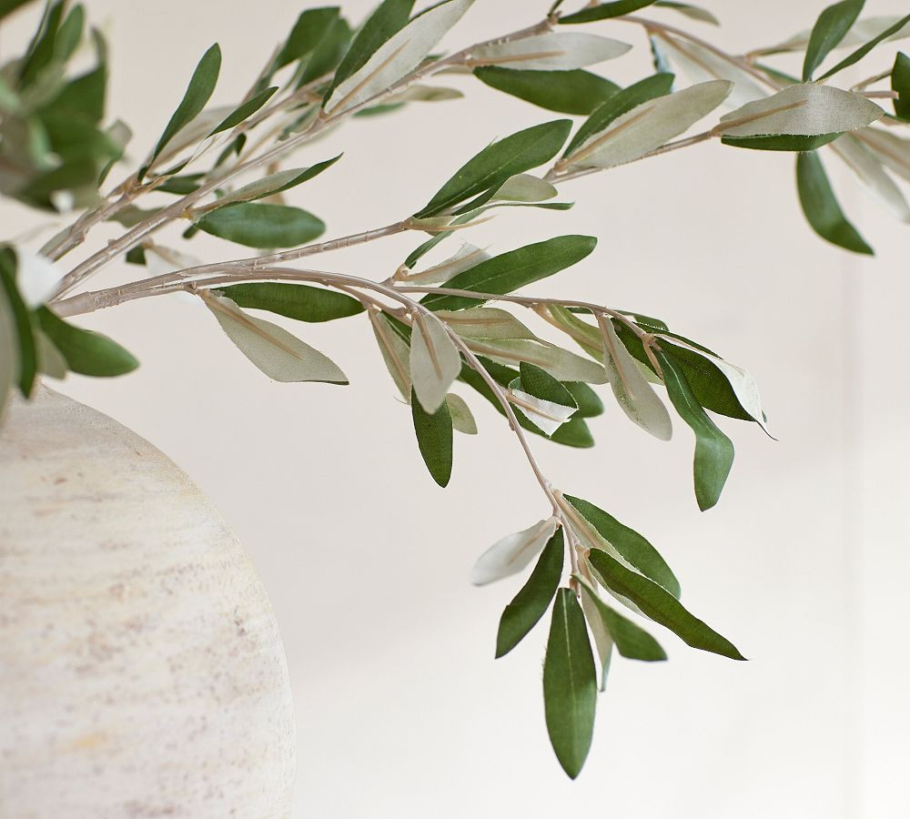 Faux Olive Bundle | Pottery Barn (US)