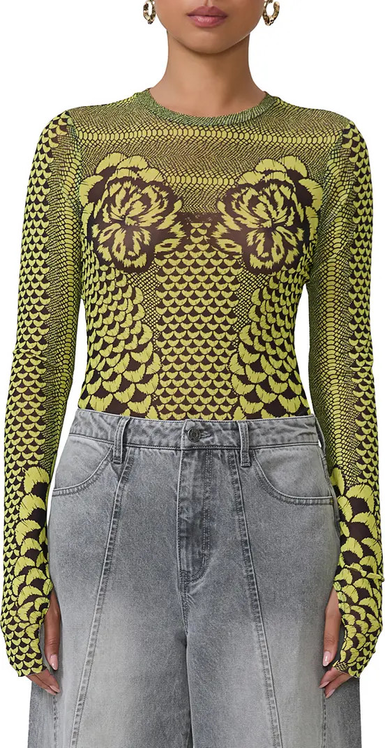 Kaylee Print Mesh Top | Nordstrom