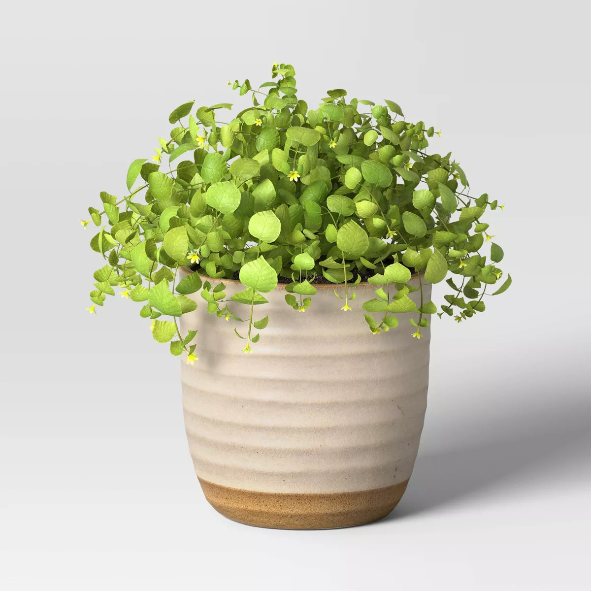 Split Glaze Ceramic Indoor Outdoor Planter Pot - Threshold™ | Target
