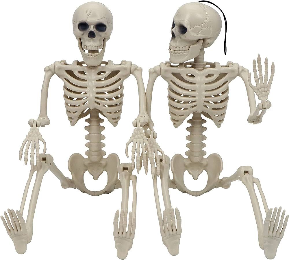 JOYIN 2 PCS 24” Halloween Skeletons Full Body Hanging Skeletons Human Plastic Bones with Movabl... | Amazon (US)