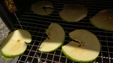 Just dehydrated some apple slices and made apple chips. You can make all kinds of dried fruit, jerky and even cookies in here …. Mother’s Day gift 

#LTKhome #LTKGiftGuide