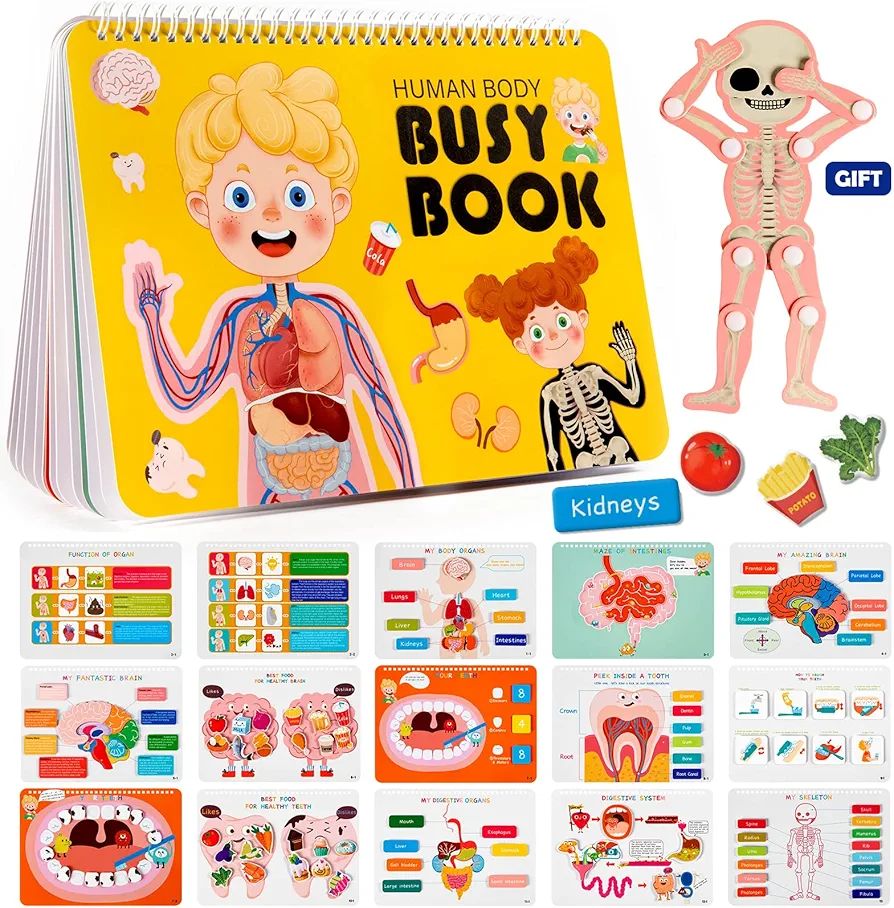 Freebear Montessori Busy Book for Kids, Human Body Anatomy Book for Toddlers, Preshool Kindergart... | Amazon (US)