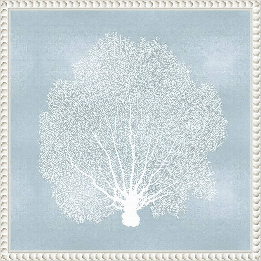 Amanti Art Framed Canvas Wall Art 16x16 Sea Fan on Aqua II by Melonie Miller, Framed Wall Art Can... | Amazon (US)