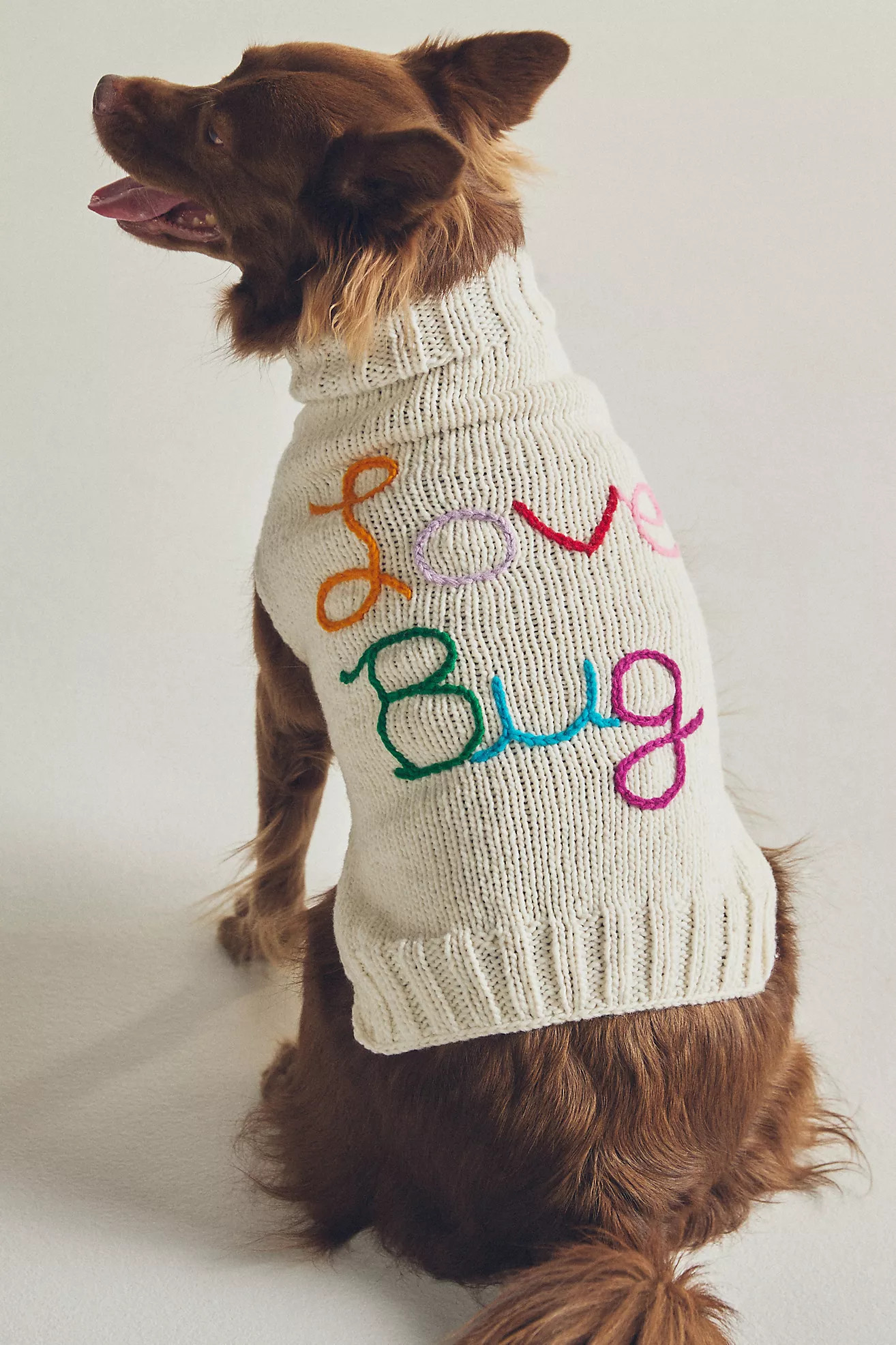 Anthropologie Love Bug Valentine's Day Pet Sweater | Anthropologie (US)