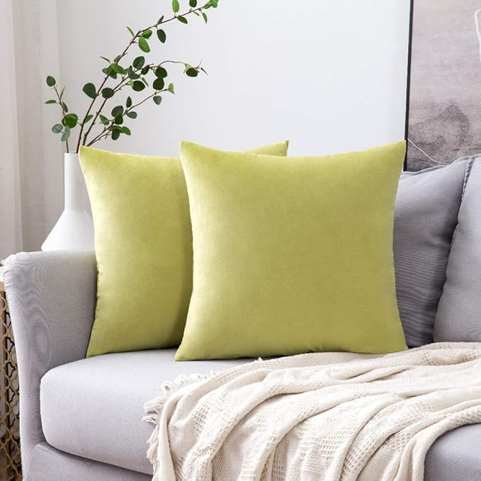 MIULEE Pack of 2 Velvet Pillow Covers Decorative Square Pillowcase Soft Solid Cushion Case for So... | Amazon (US)