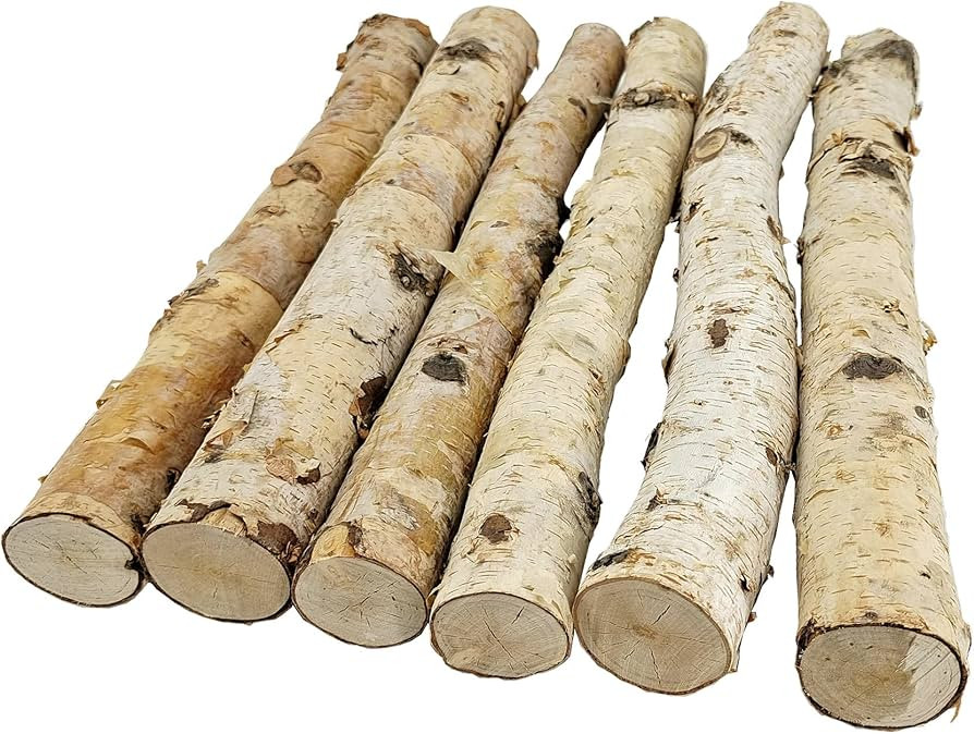 Nature Vibe 6 Pack 16 Inches Birch Logs for Fireplace Decor, Natural Birch Branches for Decoratio... | Amazon (US)