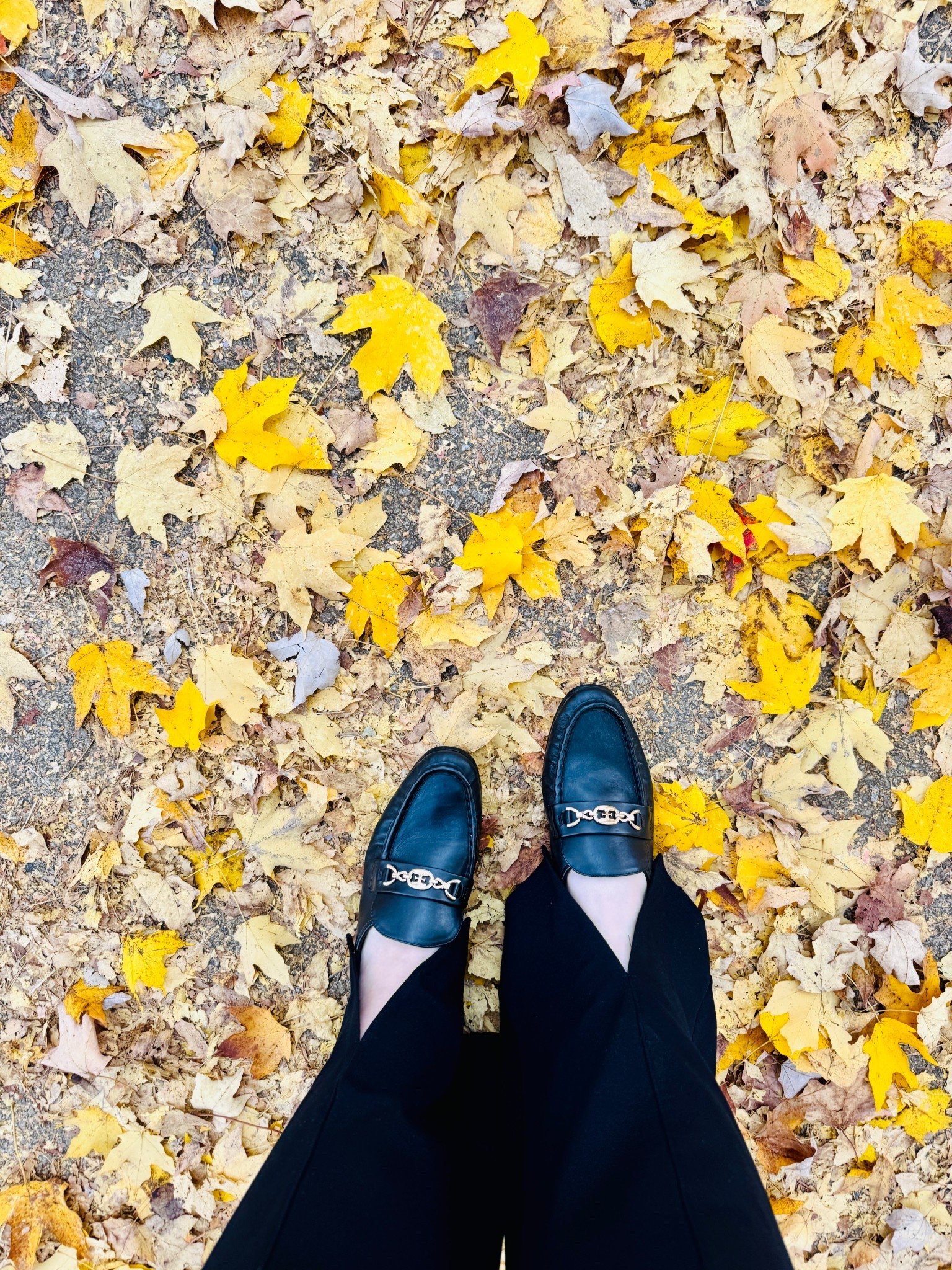 MUST-HAVE fall loafers

#LTKShoeCrush #LTKGiftGuide