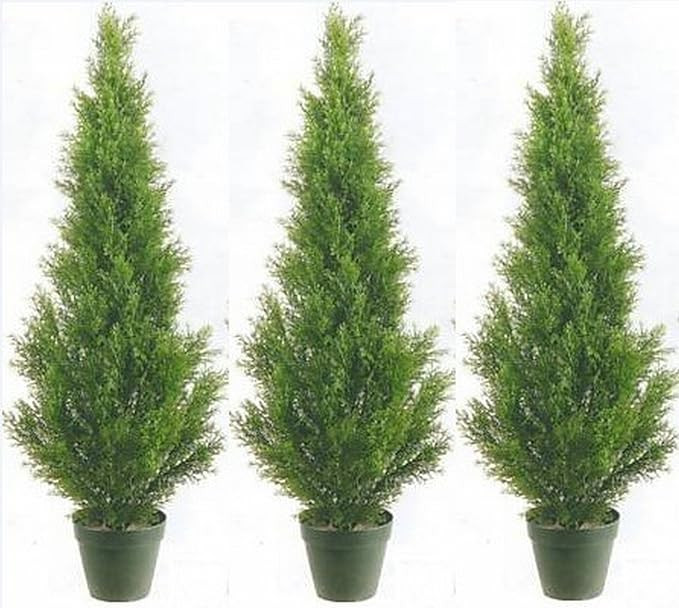 Three 3 Foot Artificial Cedar Topiary Trees Potted Indoor or Outdoor | Amazon (US)