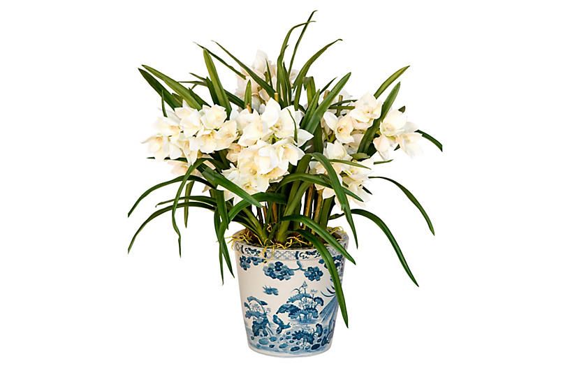 42" Cymbidium Plant in Pot - Faux - The French Bee | One Kings Lane