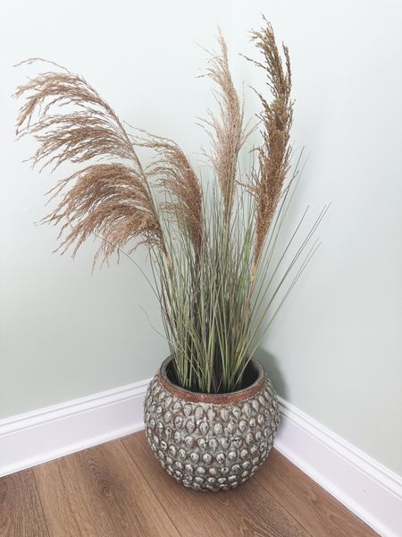 Love having natural elements on the home that can be used for many seasons!  This real looking pampas grass is only $30! 

#LTKsalealert #LTKhome
