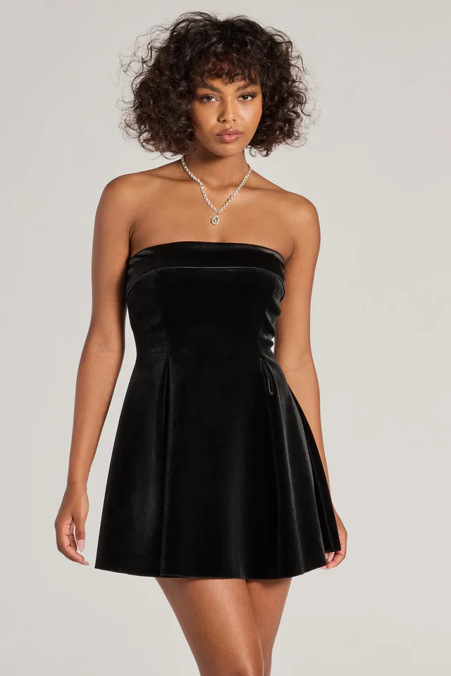 Ella Strapless Pleated Velvet Skater Dress | Windsor Stores