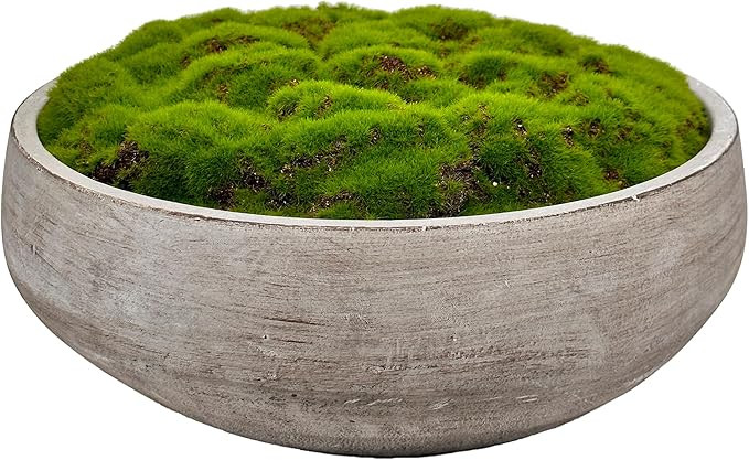 Moss Bowl |12" Diameter | Artificial | Hand-Painted Cement Bowl | Home Décor | Amazon (US)