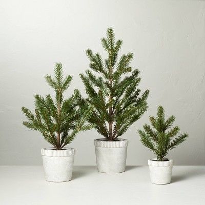 Faux Pine Tree in Washed Cement Pot - Hearth & Hand™ with Magnolia | Target