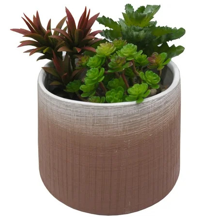 Admired By Nature Coffee two toned ombre ceramic 5.5"" pot, Planters for Succulent and Little Snake  | Walmart (US)