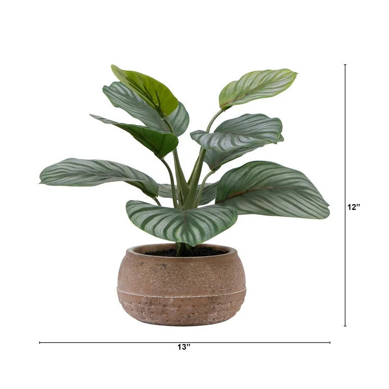 Better Homes & Gardens 9.5"H Artificial Indoor Calathea in Stone Planter | Walmart (US)