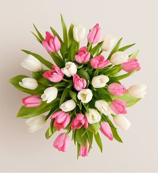 Sweet Spring Tulip Bouquet | Harry & David