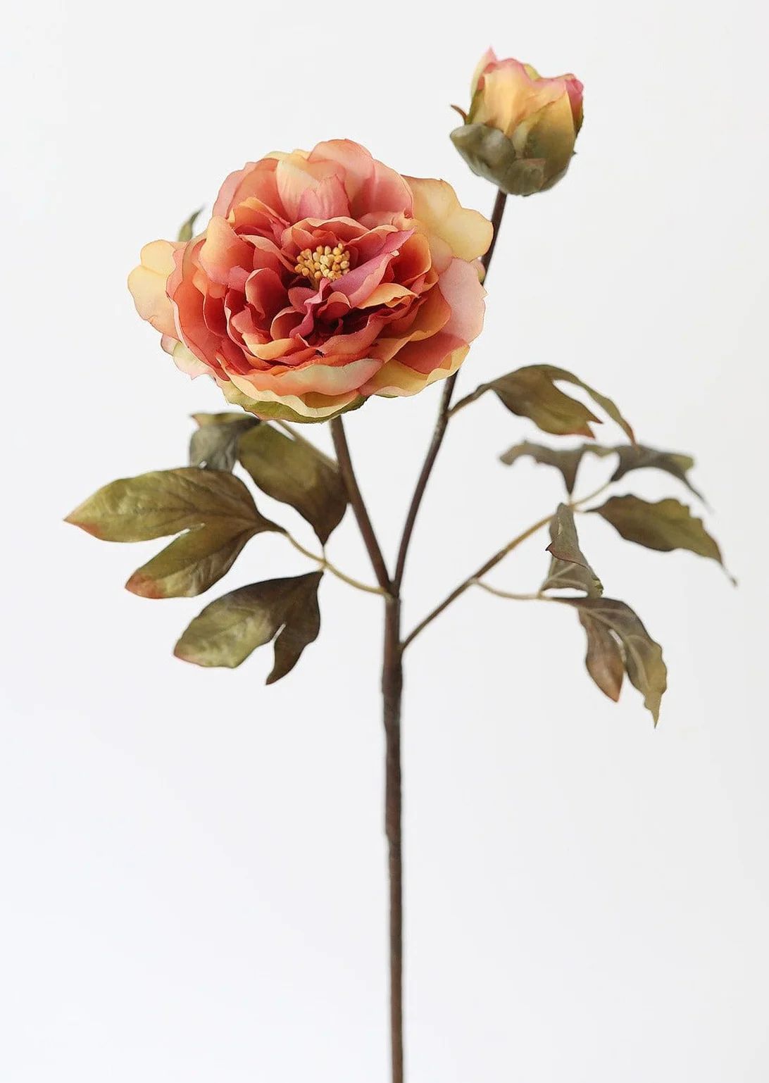 Terracotta Fake Peony Fall Flowers | Afloral (US)