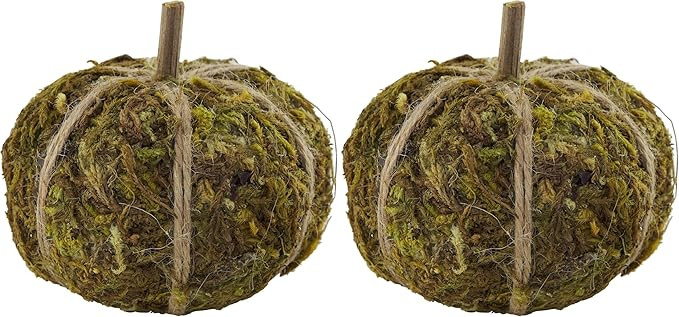 Mud Pie Moss Mini Pumpkin Vase Filler (Pack of 2) | Amazon (US)