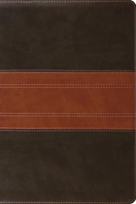 ESV Study Bible, Personal Size (Trutone, Forest/Tan, Trail Design) (Other) | Walmart (US)