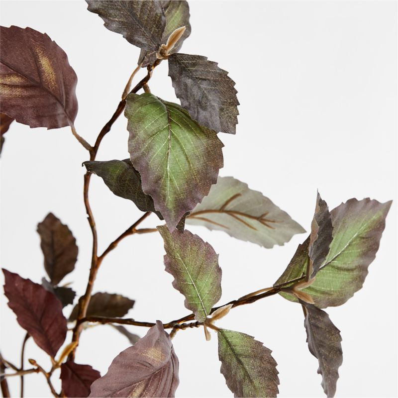Artificial/Faux Plum Leaf Beech Branch 38" + Reviews | Crate and Barrel | Crate & Barrel