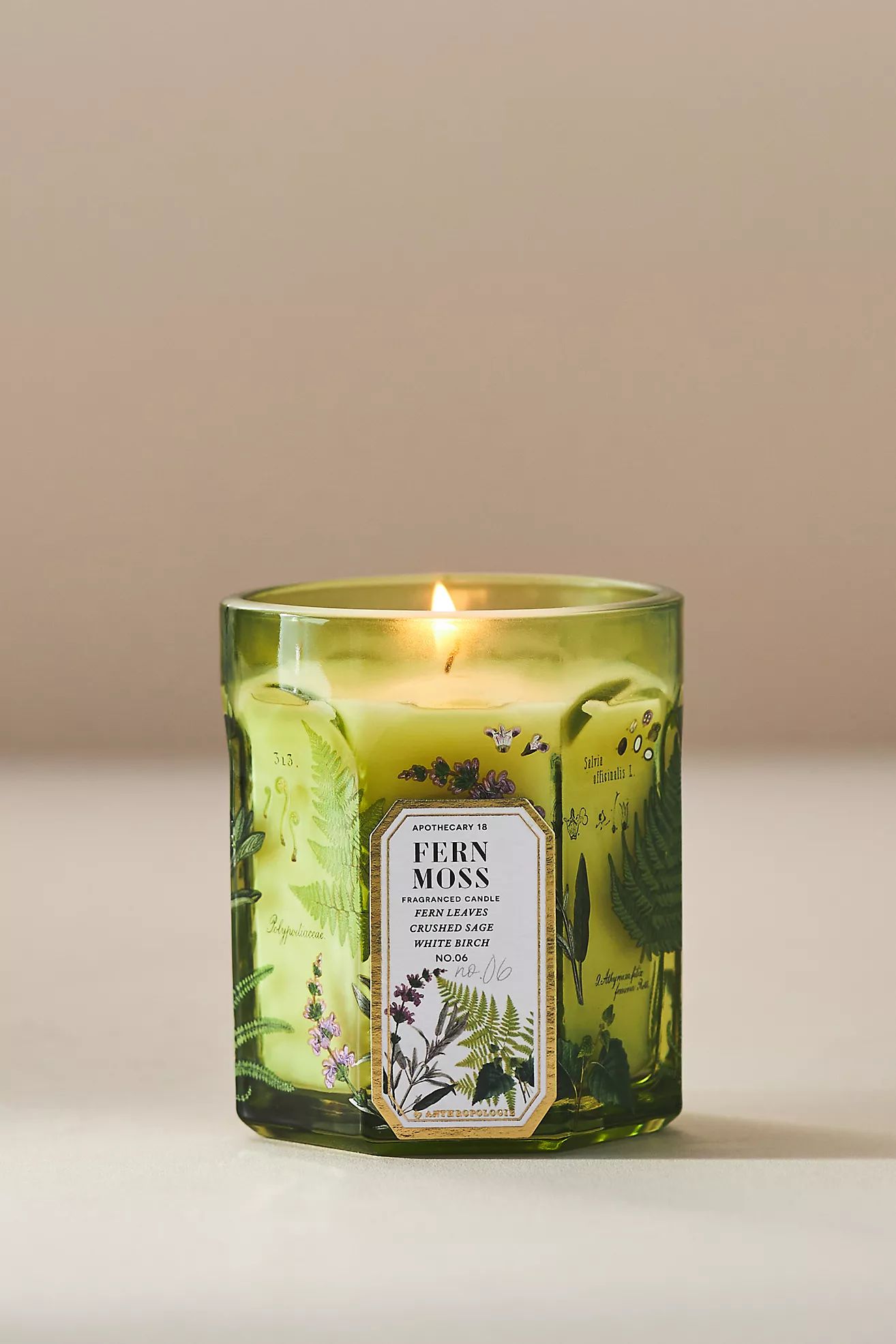 Apothecary 18 Fresh Fern Moss Glass Candle | Anthropologie (US)