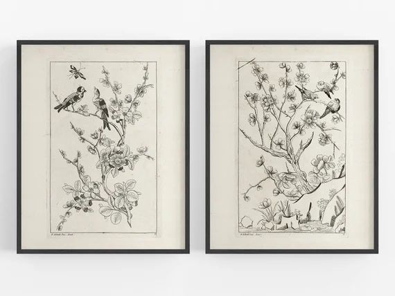 Set of Two Birds on Flower Branches Art Prints / Vintage Art / | Etsy | Etsy (US)