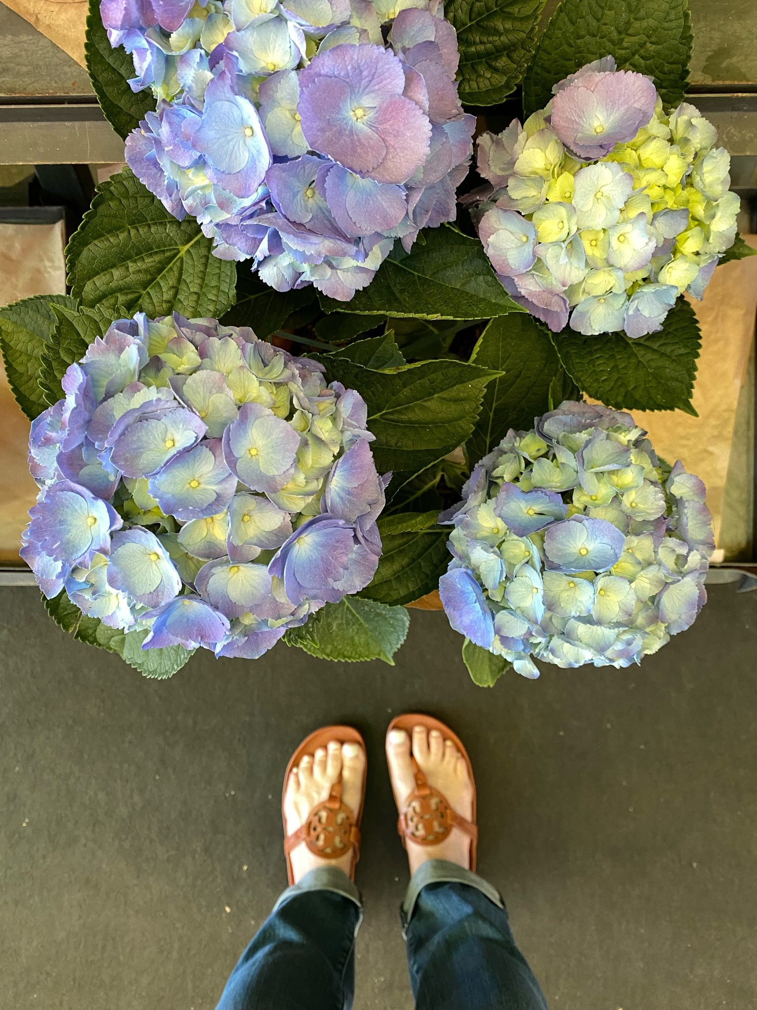 My everyday style outside of the studio is casual and easy. I like good, quality pieces that aren’t too fussy. A fun tee, jeans, and a pair of leather sandals are on repeat! That’s my uniform.

For mosaic tips, tutorials, inspiration, and so much more please visit my YouTube channel: YouTube.com/julieweilbacher. 

Follow @julieweilbacher on Instagram for mosaic tips, tricks, tutorials, mixed media mosaic, mixed media art, stained glass art, stained glass mosaic, murrini, millefiori, arts and crafts, studio organization, crafts organization, arts and crafts organization, art space, art studio, mosaic studio, mosaic workshop, art workshop, stained glass storage, mosaic tesserae, mosaic materials, mosaic tile, mosaic glass tile, glass rods, stained glass, vitreous glass, mosaic home decor, mosaic wall art, mosaic mirror, mosaic projects, mosaic candle holder, mosaic votive, mosaic table, mosaic flower pot, mosaic crafts, beginner art, mosaic workshop, beginner mosaic, fine crafts, arts and crafts, artist style, everyday style, everyday causal style, jeans and tee, tee shirts, shirt, tee, NYDJ, cuffed jeans, jeans, blue jeans, Tory Burch, Miller Cloud, sandals, hydrangeas, blue hydrangeas.

#LTKFind #LTKhome #LTKshoecrush