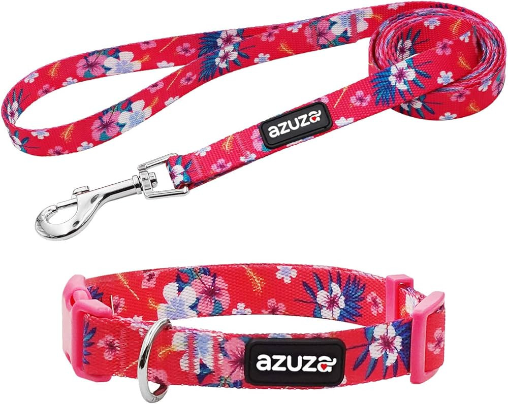 azuza Dog Collar and Leash Set, Floral Patterns Adjustable Nylon Collar with Matching Leash for S... | Amazon (CA)